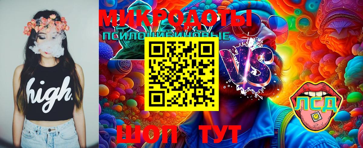 Галлюциногенные грибы GOLDEN TEACHER  как найти закладки  Буйнакск  Галлюциногенные грибы Psilocybine cubensis  Вход с VPN 